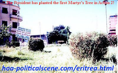 hoa-politicalscene.com/eritrean-hopes.html - Eritrean hopes: Martyr's tree in journalist Khalid Mohammed Osman's environmental project planted by the Eritrean President Isaias Afewerki on the Martyrs street.