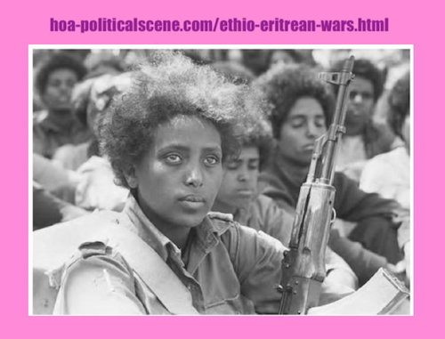 The Ethio-Eritrean Wars are results of the insanity! The last wars deepen the sadness and create human borders between two nice people. Are they leadership elites' wars?