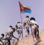 The Revolution I Would Not Sell is a continuation to the unwritten system I have that proved to be working right! This system achieved planting 5 million trees to spark development.