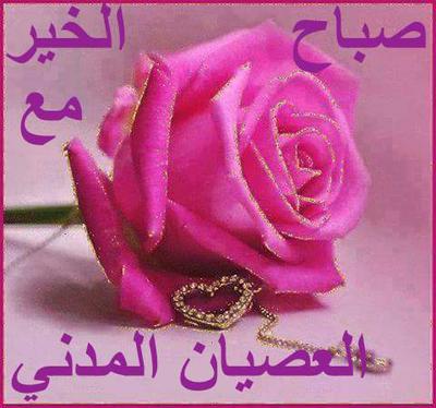 #صباح_الخير_مع_العصيان_المدني_السوداني Good morning with the SudaneseCivilDisobedience. #sudanesecivildisobedience. #Sudanese_Civil_Disobedience.