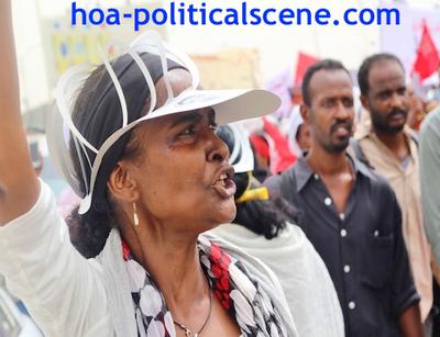 Invitation to Comment 35: Sudanese Bidding Fatima Ahmed Ibrahim Farewell 2.