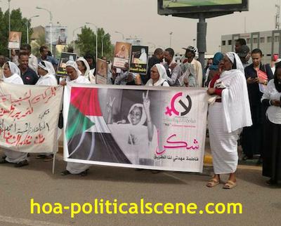 Invitation to Comment 35: Sudanese Bidding Fatima Ahmed Ibrahim Farewell 3.