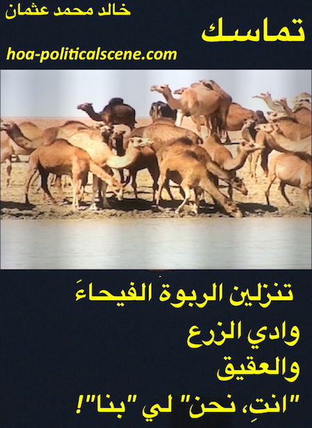 hoa-politicalscene.com/arabic-hoa.html - Arabic HOA: Couplet of poetry from Consistency by poet and journalist Khalid Mohammed Osman on Beja of Sudan's livestocks / camels breeding.