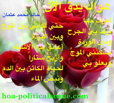 hoa-politicalscene.com/arabic-hoa.html - Arabic HOA: Snippet of poetry from 