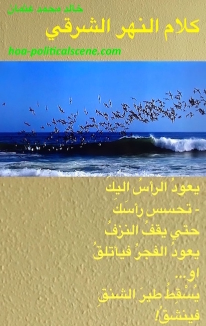 hoa-politicalscene.com/arabic-hoas-poems.html - Arabic HOAs Poems: from "Speech of the Eastern River" by poet & journalist Khalid Mohamed Osman on sea birds fishing in flock.