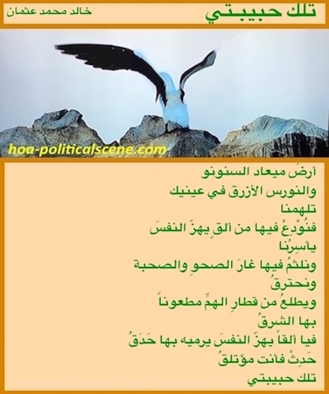 hoa-politicalscene.com/arabic-hoas-poems.html - Arabic HOAs Poems: from "That's My Love" by poet & journalist Khalid Mohamed Osman on a beautiful bird winging.