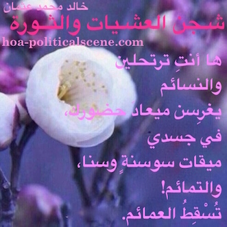 hoa-politicalscene.com/arabic-poetry-posters.html - Arabic Poetry Posters: Snippet of poetry from "Revolutionary Evening Yearning" by poet and journalist Khalid Mohammed Osman on beautiful flowers.