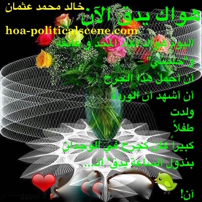 hoa-politicalscene.com/arabic-poetry-posters.html - Arabic Poetry Posters: Snippet of poetry from "Your Love is Beating Now" by poet and journalist Khalid Mohammed Osman on beautiful flowers.