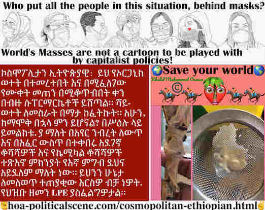 hoa-politicalscene.com/cosmopolitan-ethiopian.html - Cosmopolitan Ethiopian: ይህ የኦርጋኒክ ወተት በተመረተበት እና በሚፈለገው የሙቀት መጠን በሚቆጥብበት ቀን በብዙ ሱፐርማርኬቶች ይሸጣል። ሻይ-ወተት ለመስራት በማታ ከፈትኩት።