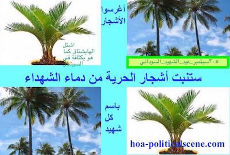 hoa-politicalscene.com/caos-mundial.html: Caos Mundial: Planeé el proyecto del árbol del mártir sudanés en 3 fases para guiar la revolución sudanesa y convertirla en una revolución progresiva.