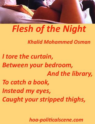 hoa-politicalscene.com: Flesh of the Night by poet and journalist Khalid Mohammed Osman designed on a picture of naked legs.