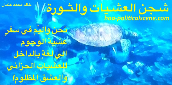 hoa-politicalscene.com/hoas-arabic-literature.html - HOAs Arabic Literature: "Revolutionary Evening Yearning" by poet Khalid Mohammed Osman on underwater sea world with turtle species.