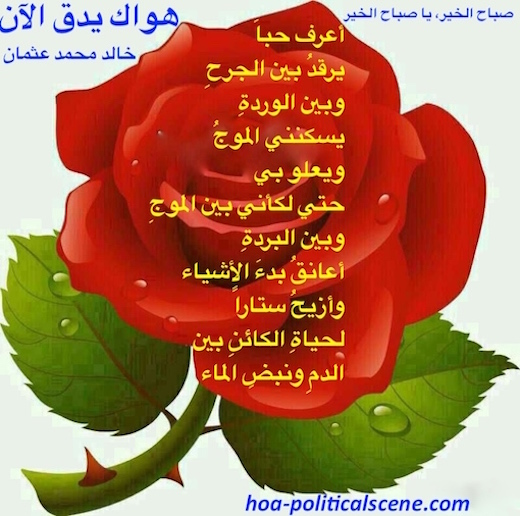 hoa-politicalscene.com/hoas-arabic-literature.html - HOAs Arabic Literature: "Your Love is Beating Now" by poet Khalid Mohammed Osman on red flower.