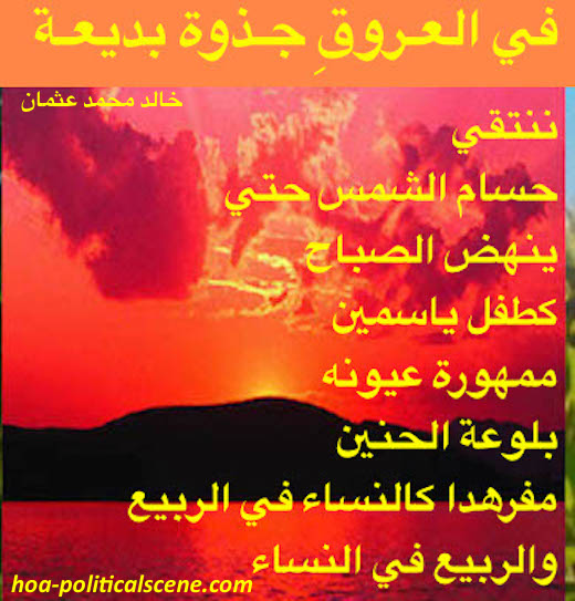 hoa-politicalscene.com/hoa.html - HOA: Couplet of poetry from "Exquisite Flame in the Veins" by poet and journalist Khalid Mohammed Osman... love poetry for the nation on sunset.