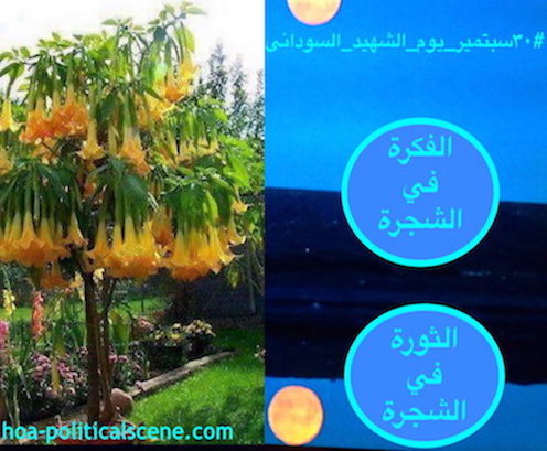 hoa-politicalscene.com/sudanese-martyrs-tree.html - Sudanese Martyr's Tree: The Idea is on the Tree, The Revolution is on the Tree. Ideas made by Sudanese journalist Khalid Mohammed Osman.