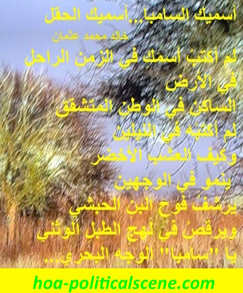 hoa-politicalscene.com/hoa.html - HOA: Poem from "I Call You Samba, I Call You A Field" by poet & journalist Khalid Mohammed Osman on a picture from the African Savannah.