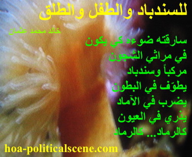 hoa-politicalscene.com - HOAs Animation Gallery: Couplet of political poetry from "For Sinbad, the Child and Parturition", by poet and journalist Khalid Mohammed Osman on coral reefs shaping.