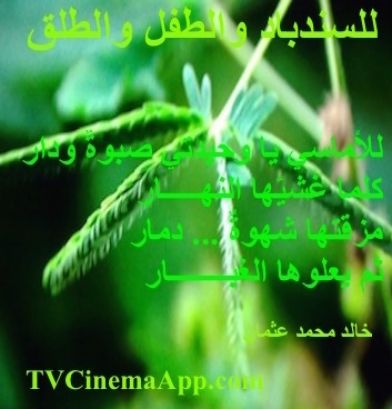 hoa-politicalscene.com - HOAs Animation Gallery: Couplet of political poetry from "For Sinbad, the Child and Parturition", by poet and journalist Khalid Mohammed Osman on a picture of plant species.