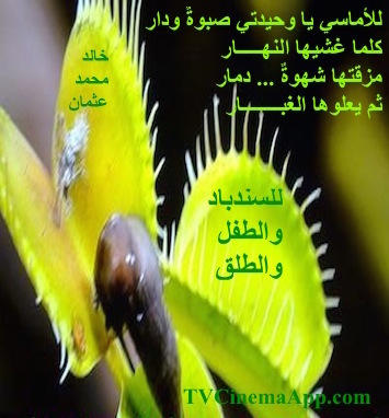 hoa-politicalscene.com - HOAs Animation Gallery: Couplet of political poetry from "For Sinbad, the Child and Parturition", by poet and journalist Khalid Mohammed Osman on beautiful green leaves.