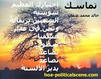 hoa-politicalscene.com - HOAs Image Scripture: Poetry from "Consistency", by poet & journalist Khalid Mohammed Osman on a picture of a baobab giving the sun farewell, Kordofan, Sudan.