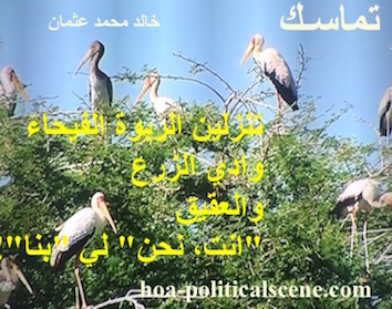 hoa-politicalscene.com - HOAs Image Scripture: Poetry from "Consistency", by poet & journalist Khalid Mohammed Osman on a picture of heron and stork species, Dinder and Rahad forest, Sudan.