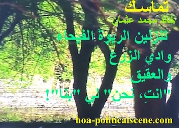 hoa-politicalscene.com - HOAs Image Scripture: Couplet of poetry from "Consistency", by poet and journalist Khalid Mohammed Osman on a picture of trees in the Dinder & Rahad garden, Sudan.