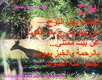 hoa-politicalscene.com - HOAs Image Scripture: Poetry from "Revelation", by poet & journalist Khalid Mohammed Osman on a picture of deer species in the Dinder & Rahad natural reserve, Sudan.