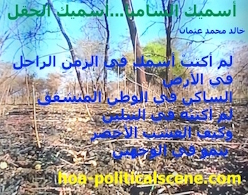 hoa-politicalscene.com - HOAs Image Scripture: Poetry from "I Call You Samba, I Call You a Field", by poet & journalist Khalid Mohammed Osman on a field picture from the Dinder and Rahad, Sudan.