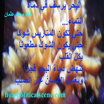 hoa-politicalscene.com - HOAs Imagery Poems: Couplet of poetry from "The Sea Fetters in Its Blood", by poet and journalist Khalid Mohammed Osman on coral reefs.
