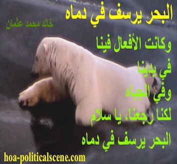 hoa-politicalscene.com - HOAs Imagery Poems: Couplet of poetry from "The Sea Fetters in Its Blood", by poet and journalist Khalid Mohammed Osman on polar bear getting out of the melting ice.