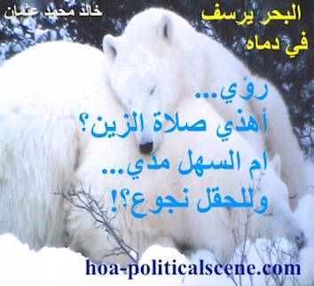 hoa-politicalscene.com - HOAs Imagery Poems: Couplet of poetry from "The Sea Fetters in Its Blood", by poet and journalist Khalid Mohammed Osman on polar bears intimacy.