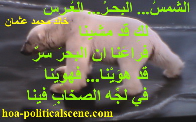 hoa-politicalscene.com - HOAs Imagery Poems: Couplet of poetry from "The Sun, the Sea, the Wedding", by poet and journalist Khalid Mohammed Osman on polar bear testing the melting ice.