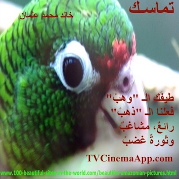 hoa-politicalscene.com/hoas-images.html - HOAs Images: Couplet of poetry from "Consistency", by poet and journalist Khalid Mohammed Osman on green Amazonian macaw.