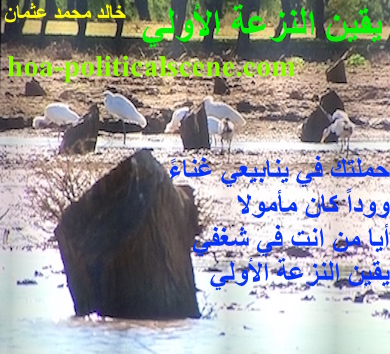 hoa-politicalscene.com - HOAs Literature: Poetry from "Certainty of First Tendency", by poet & journalist Khalid Mohammed Osman on bird species, trees & waters, Dinder and Rahad garden, Sudan.
