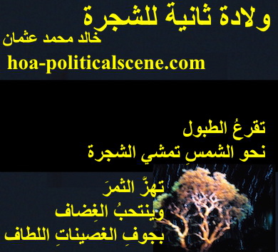 hoa-politicalscene.com - HOAs Literature: Couplet of poetry from "Second Birth of the Tree", by poet and journalist Khalid Mohammed Osman on a tree designed on licorice background.