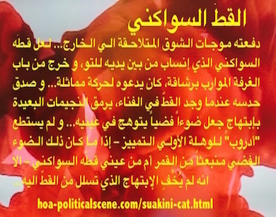 hoa-politicalscene.com - HOAs Literature: Snippet of short story from the "Suakini Cat", by short story writer, poet & journalist Khalid Mohammed Osman on beautiful orange animation.