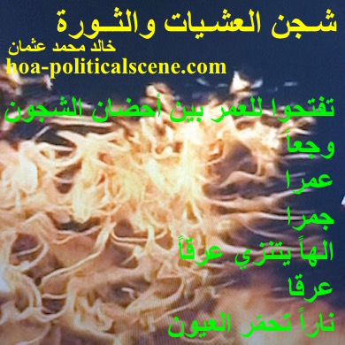 hoa-politicalscene.com - HOAs Lyrics: from 