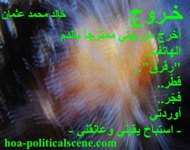 hoa-politicalscene.com - HOAs Photo Gallery: Couplet of political poetry from "Exodus", by poet and journalist Khalid Mohammed Osman designed on underwater coral reefs during creation.