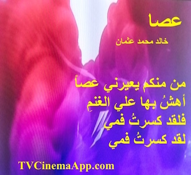 hoa-politicalscene.com - HOAs Photo Gallery: Couplet of political poetry from "A stick", by poet and journalist Khalid Mohammed Osman designed on beautiful design.