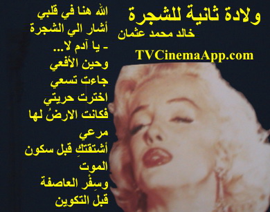 hoa-politicalscene.com - HOAs Photo Gallery: Couplet of poetry from "Second Birth of the Tree", by poet and journalist Khalid Mohammed Osman designed on Marilyn Monroe's Picture.