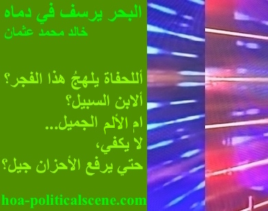 hoa-politicalscene.com - HOAs Photo Scripture: Poetry snippet from "The Sea Fetters in Its Blood", by poet and journalist Khalid Mohammed Osman on 3-division design rotated left with fern rectangle.