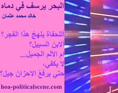 hoa-politicalscene.com - HOAs Photo Scripture: Poetry snippet from "The Sea Fetters in Its Blood", by poet Khalid Mohammed Osman on 3-division design rotated left with carnation rectangle.