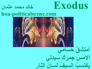 hoa-politicalscene.com - HOAs Poetic Pictures: Couplet of poetry from "Exodus", by poet and journalist Khalid Mohammed Osman framed in ice.