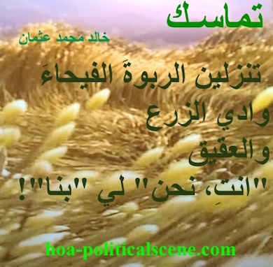 hoa-politicalscene.com - HOAs Poetry: Couplet of poetry from "Consistency", by poet and journalist Khalid Mohammed Osman on wheat filed dancing of joy by the breeze.