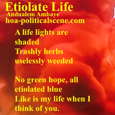 hoa-politicalscene.com - HOAs Poetry Scripture: Snippet of poetry from "Etiolate Life", by Ethiopian poet Andualem Ambaye designed on beautiful orange background.