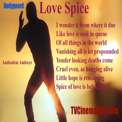 hoa-politicalscene.com - HOAs Poetry Scripture: Snippet of poetry from "Love Spice" by Ethiopian poet Andualem Ambaye designed on bodyguard Salman Khan's silhouette.