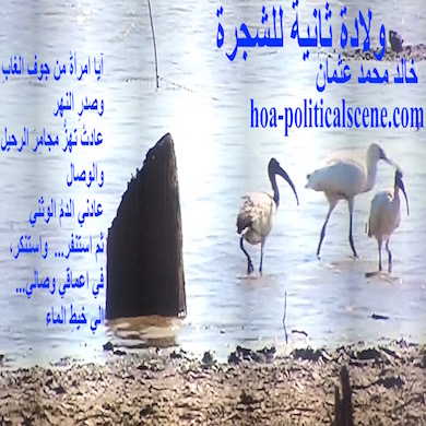 hoa-politicalscene.com - HOAs Poetry Scripture: Snippet of poetry from "Second Birth of the Tree", by poet and journalist Khalid Mohammed Osman on the Dinder river and some beautiful white birds.
