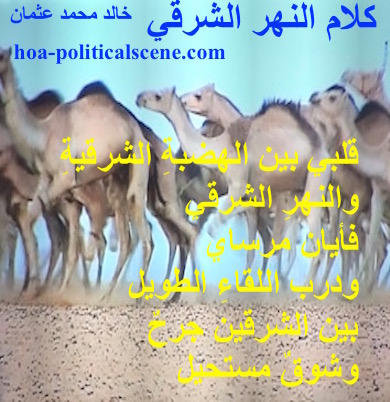hoa-politicalscene.com - HOAs Poetry Scripture: Snippet of poetry from "Speech of the Eastern River", by poet and journalist Khalid Mohammed Osman on Eastern Sudan's Camels.