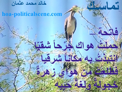 hoa-politicalscene.com - HOAs Political Poetry: from "Consistency", by poet and journalist Khalid Mohammed Osman on heron, in the Dinder and Rahad Forest, Sudan.