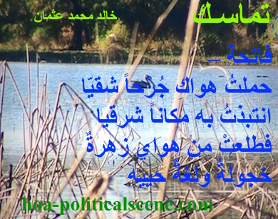 hoa-politicalscene.com - HOAs Political Poetry: from "Consistency", by poet and journalist Khalid Mohammed Osman on birds swimming in the Dinder and Rahad rivers, Sudan.